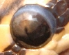 lightingeye2