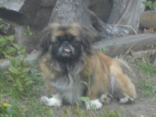 Mason