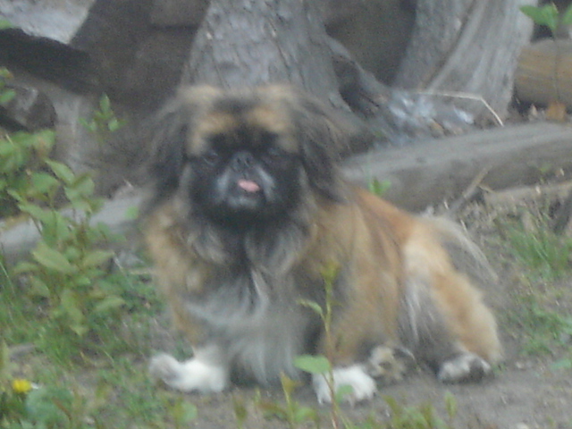 Mason