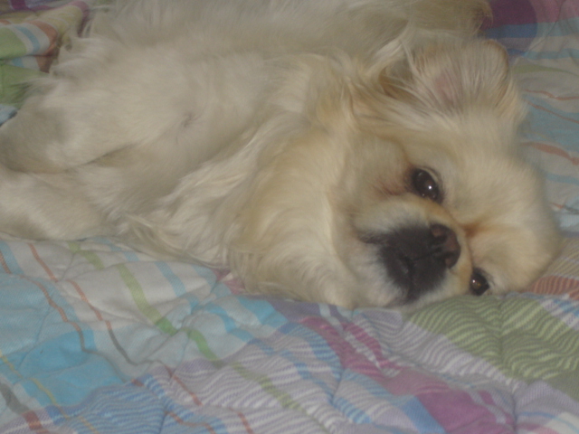 Avery "Night Night"