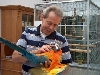 Love my Hybride macaw