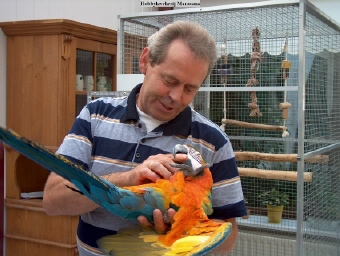 Love my Hybride macaw
