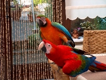 Kanjer & Scooter