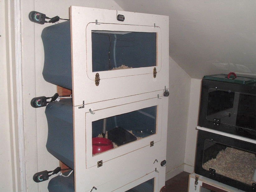 rubbermaid tub rack