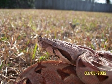 MyHypoupclose1