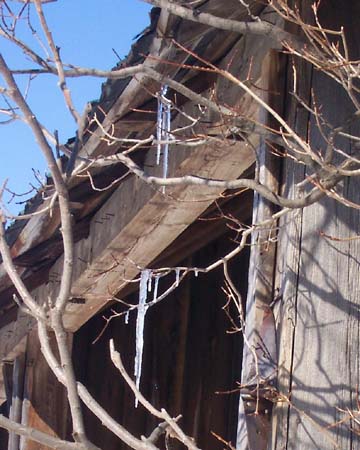 icicles