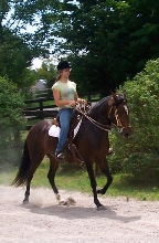 FS Querida under saddle