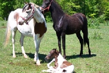 just born