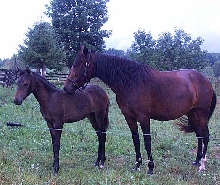 paso fino mom and daughter