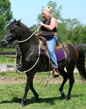 Gaiting spanish stallion