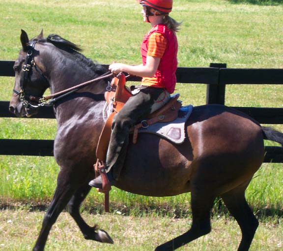 Fat paso fino mare