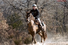 Endurance riding