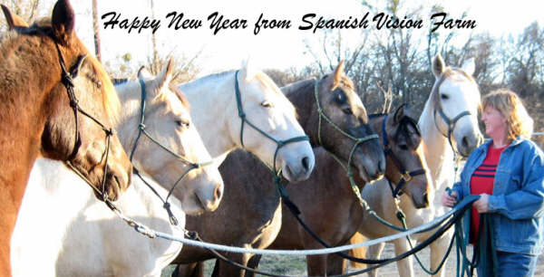 herd of horses