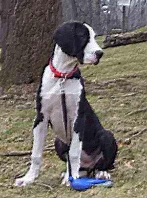 Sebastian