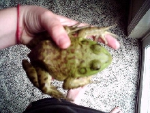 Squishy!!!