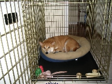 Crate