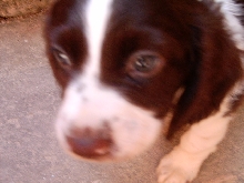 My little Bobby Boy xXx