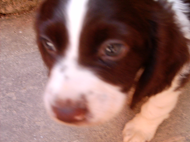 My little Bobby Boy xXx