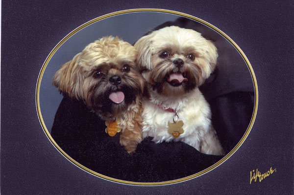 Troilus and Cressida Studio Portrait July 2006