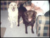 Hunter and Sierra