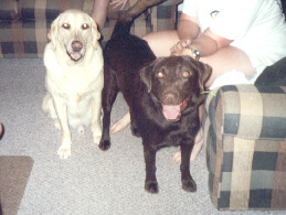 Hunter and Sierra