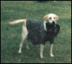 Hunter as a hunter!! ^^ (he took off his hat!)