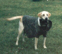 Hunter as a hunter!! ^^ (he took off his hat!)