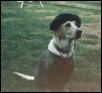 Hunter as a hunter!!