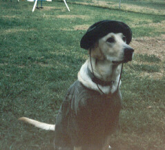 Hunter as a hunter!!