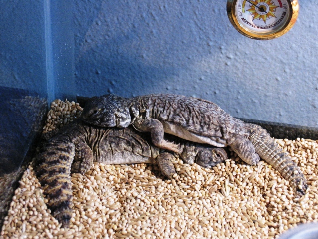 Just waking up!