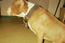 cain