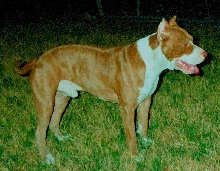 Cain 15 months old