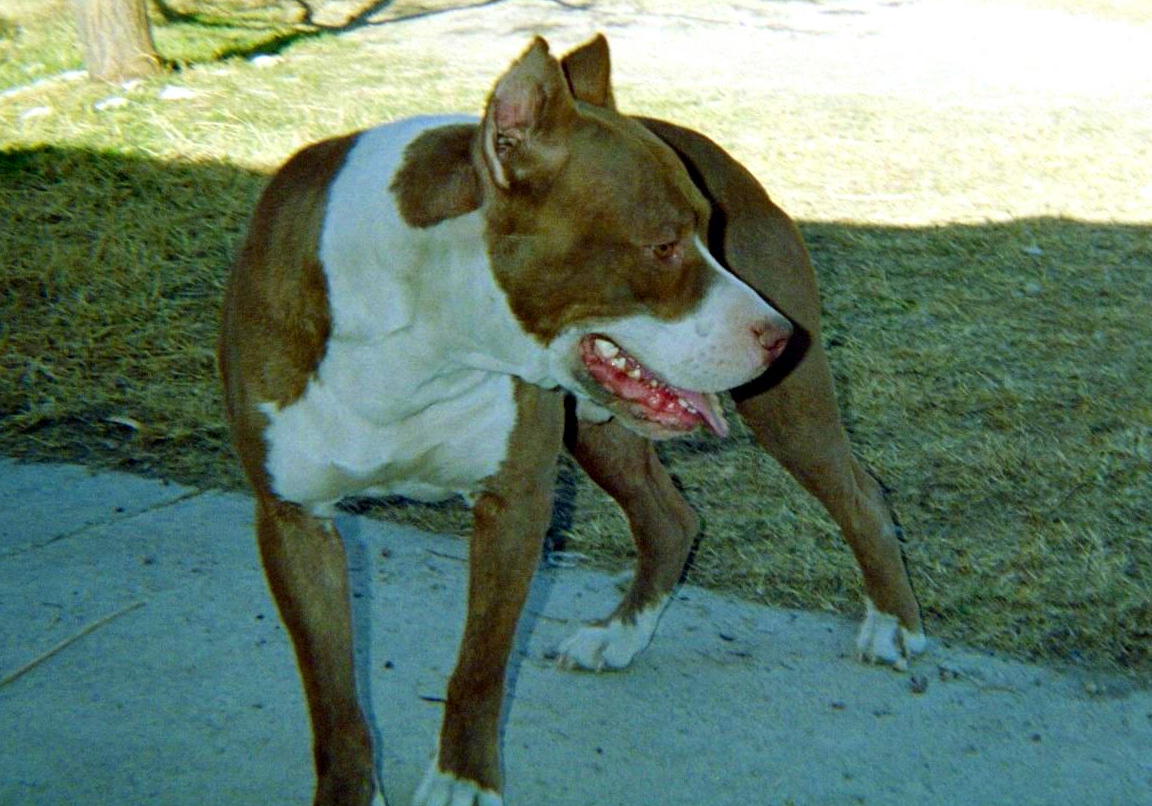 Cain 15 months old