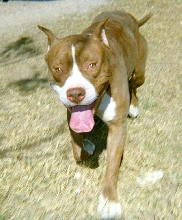 Cain 15 months old