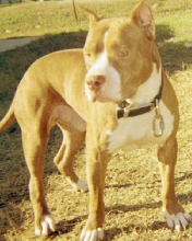 2 yrs...cain
