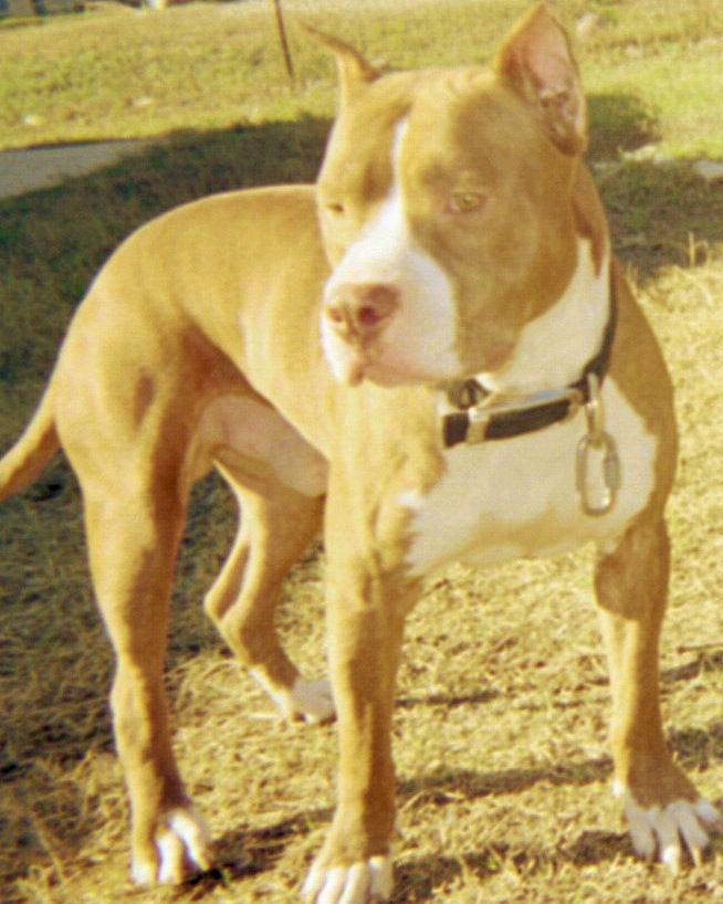 2 yrs...cain