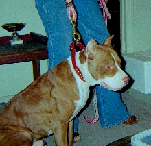 Cain 15 months old
