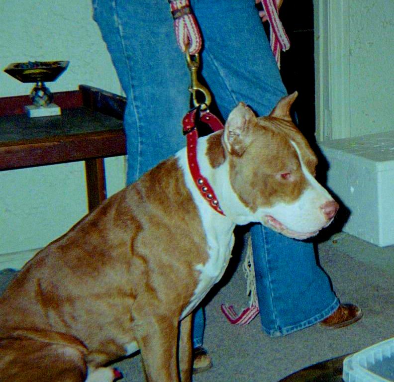 Cain 15 months old