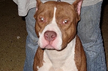 cain