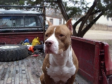 pit