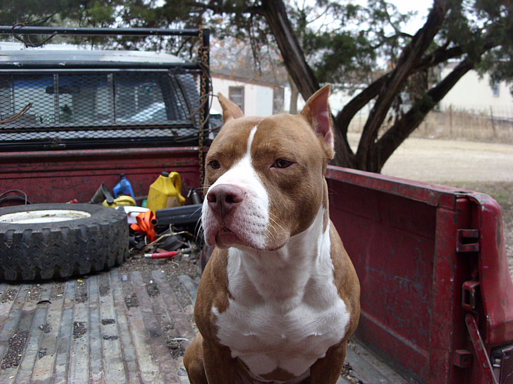 pit