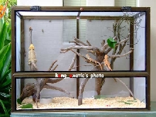 my cage