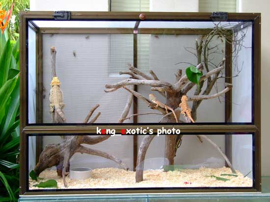 my cage