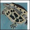 turtle painting