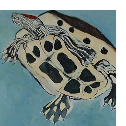 turtle painting