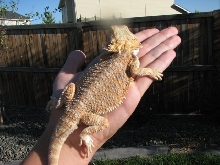 Andy 1small