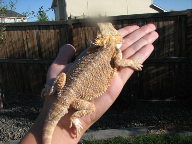 Andy 1small