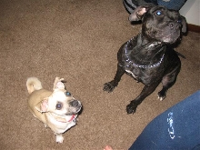 Duncan and Emily