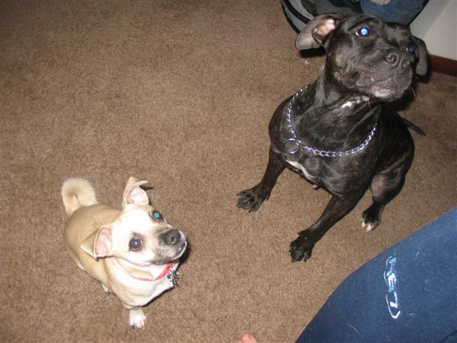 Duncan and Emily