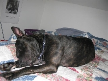 Sound asleep :-)